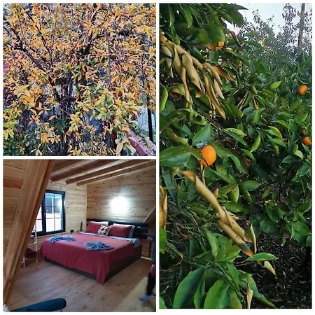 Aura Wooden House Holiday home
